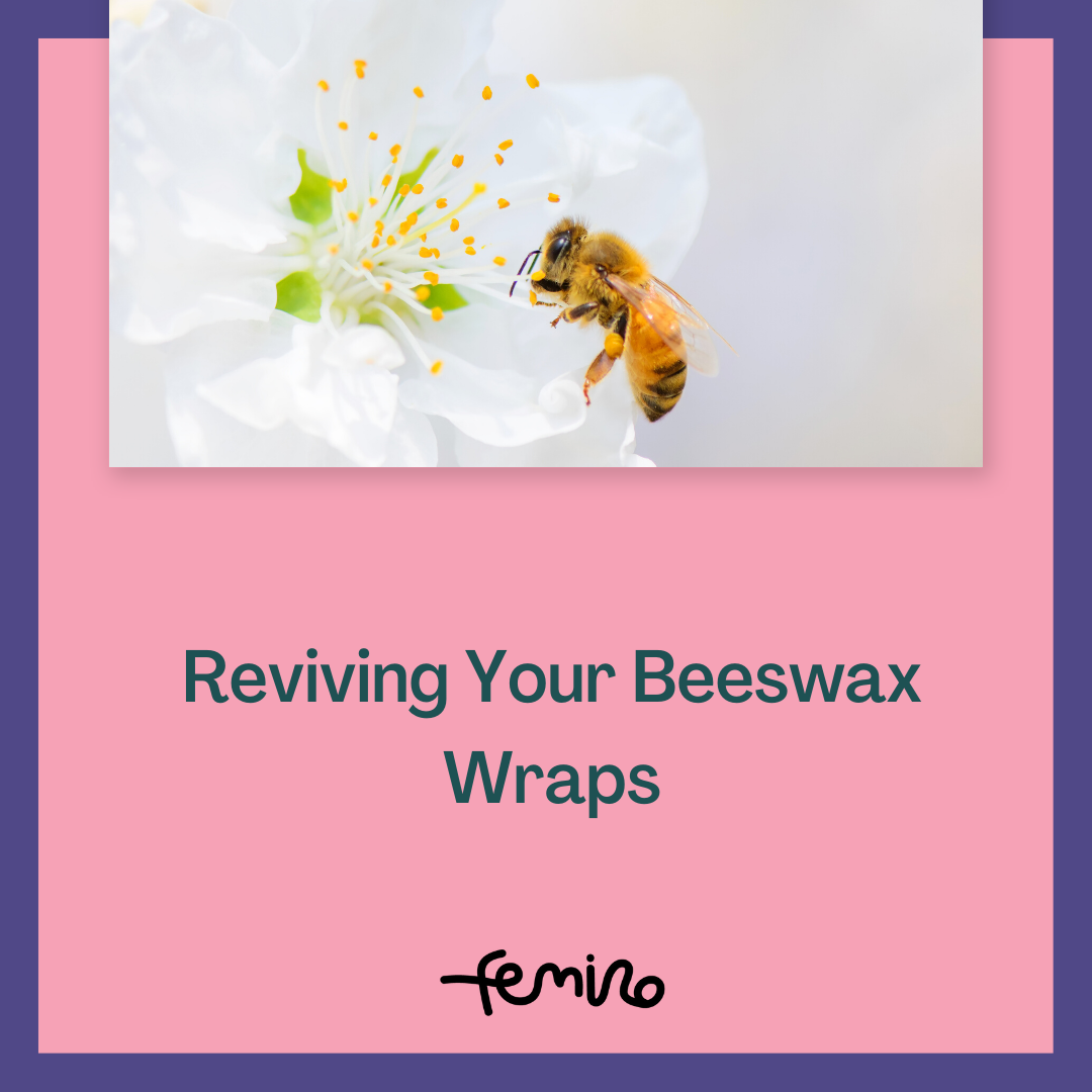 Reviving Your Beeswax Wraps
