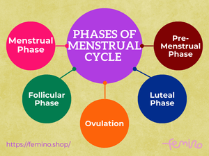 Understanding the Menstrual Cycle Phases and its Impact with Femino
